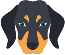 Robert's avatar